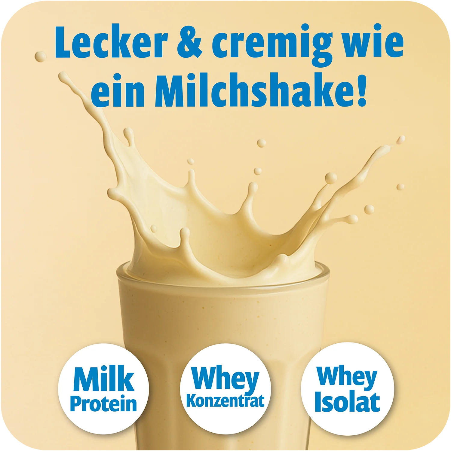 Muscle Protein Pulver - 300g Dosen - Image 5