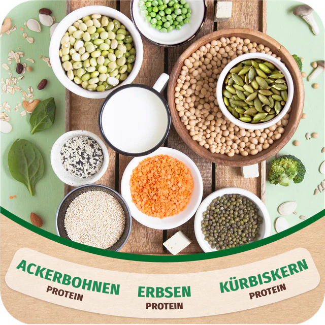 Vegan Protein - 300g Dose - Image 3